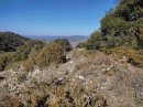 Sur les hauteurs